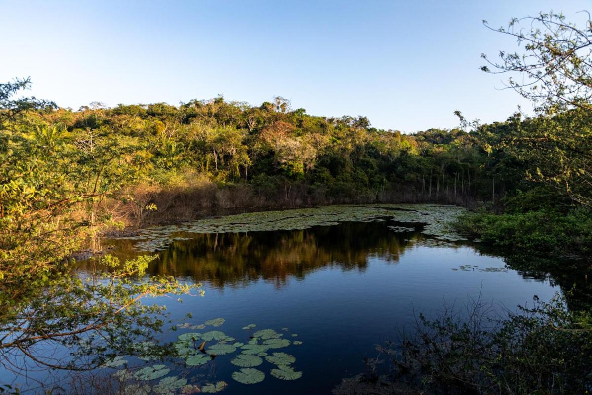 Fazenda Hotel Candeal Conceicao de Jacuipe Kültér fotó