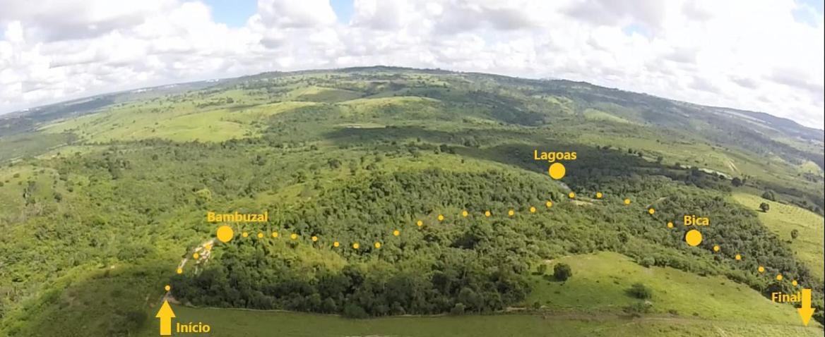 Fazenda Hotel Candeal Conceicao de Jacuipe Kültér fotó