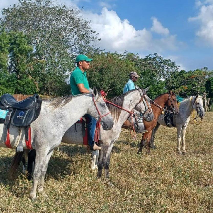 Fazenda Hotel Candeal Conceicao de Jacuipe Kültér fotó