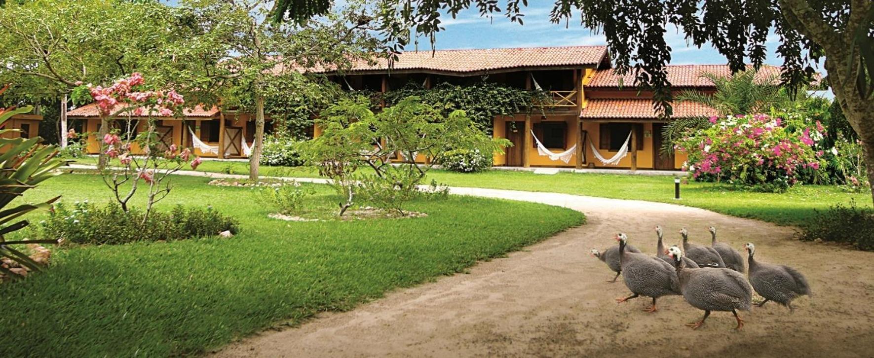 Fazenda Hotel Candeal Conceicao de Jacuipe Kültér fotó