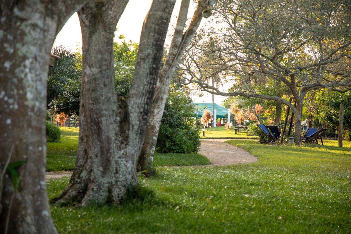 Fazenda Hotel Candeal Conceicao de Jacuipe Kültér fotó