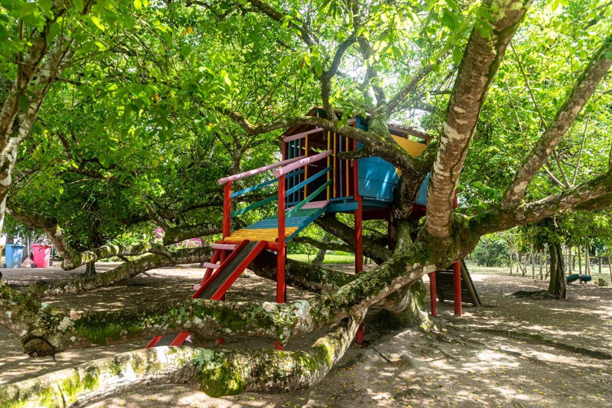 Fazenda Hotel Candeal Conceicao de Jacuipe Kültér fotó